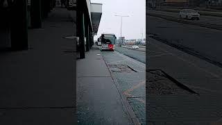 Mercedes  Iveco crossway