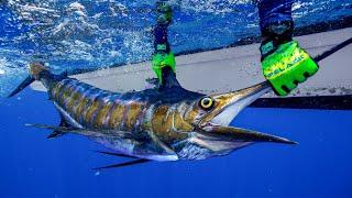 The $100,000 Fish…. DEEP SEA Marlin Fishing in Belize