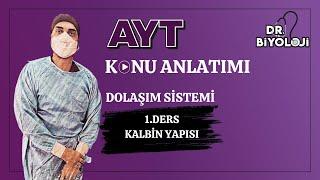 Dolaşım Sistemi | 1. Ders Kalbin Yapısı| #2025tayfa