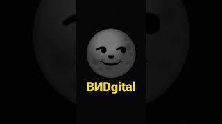 BИDgital Logo [2017]