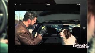 Meet Rick & His Dog Scout - New Car Safety Features by MyCarDoesWhat.org