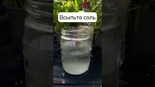 Очистить ржавый инструмент — убрать ржавчину