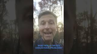 What Really Causes Cholesterol Problems?