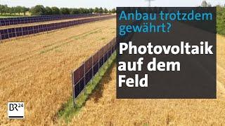 Photovoltaik-Anlagen auf dem Feld: Das steht hinter "Agri-PV" | Abendschau | BR24