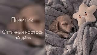 Хорошее настроение | позитив | отличный настрой на день #саблиминал #аффирмации