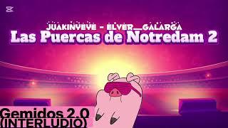 Gemidos 2.0 (Interludio) - Juakinyeye ft. Elver_Galarga (Audio)