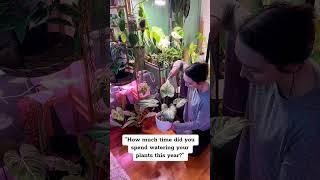 Embrace the Joy of Plant Parenting with Daily #PlantChores #fok
