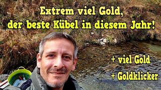 Extrem viel Gold, der beste Kübel in diesem Jahr!