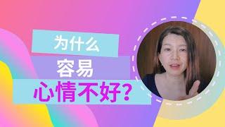 为什么容易心情不好？