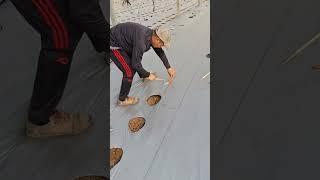 Ground film hole opening tool
