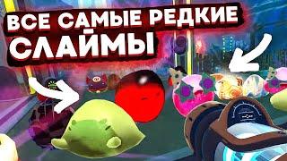 Slime Rancher. ЧЕЛЛЕНДЖ: САМЫЕ РЕДКИЕ СЛАЙМЫ В ОДНОМ ЗАГОНЕ!