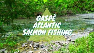 Gaspé Peninsula QC Atlantic Salmon Fly Fishing 2021 ep 1