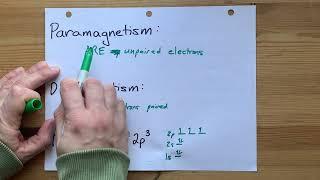 Is this particle Paramagnetic or Diamagnetic?