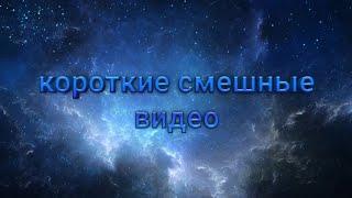 короткие смешные видео