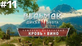 The Witcher 3: КРОВЬ И ВИНО - 11: Рыцарь наёмник ч.6 , Гроссмейстерский доспех школы Кота