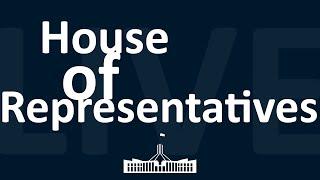 House of Representatives | 19/11/2024