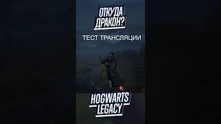 Hogwarts Legacy  БАГ ИЛИ ФИЧА? - НАПАДЕНИЕ ДРАКОНА #shorts