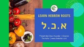 Learn Hebrew Roots Lesson #1 - א.כ.ל