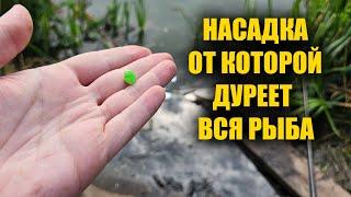 Самая уловистая насадка на карася! Карась Карп Сазан Лещ Рыболовная насадка для Карася