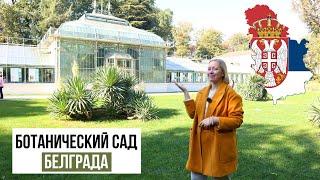 СЕРБИЯ/ Ботанический сад в Белграде / Jevremovac Botanical Garden