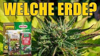 Welche Erde ist die richtige für Cannabis