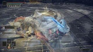 ELDEN RING Corgi vs commander Niall