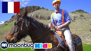 Blippi visite une Ferme!!| BLIPPI en Français | Vidéos Pour Enfants | Moonbug en Français