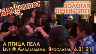 Бахыт-Компот - А птица пела (live @Амальгамма, Ярославль, 6.01.2021)