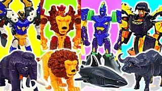 Hello Carbot movie secret of Omphalos island Falo, Klion, A-Shark, dinosaur robots! #DuDuPopTOY