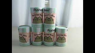 Pusheen Surprise Minis Series 1// Opening