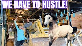 This Was Chaotic! Prepping for a Massive Rainstorm With 10 Horses