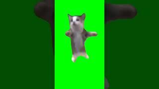 Happy Happy Happy Cat Meme Green Screen