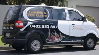Fipforce Accredited  Accurate Pest Management - Gold Coast