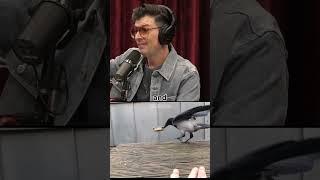 Joe Rogan on How to Train a Crow