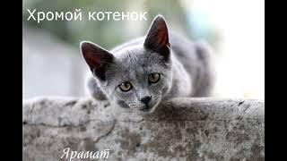 Притча "Хромой котенок". Читает Ярамат.