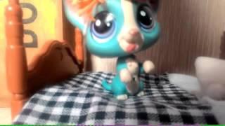 LPS сериал : *школа магии* 1 сезон 4 серия