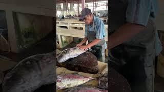 Trevally Fish #fishcutting #fillet #fishmarket #fish #food #streetfood #seafood #fishing