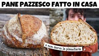 LA RICETTA DEL PANE FATTO IN CASA PIÙ BUONO E COMODO DA REALIZZARE – è facile e pieno di bolle | DZ