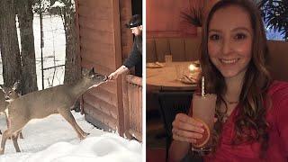 VLOG: My Current Weight, Boston Events & Feeding Wild Deer in NY!
