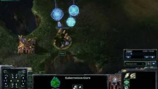 Starcraft 2 Beta - Ryan vs. Rapt TvP Commentary p1