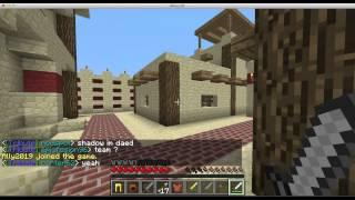 Hunger games server review