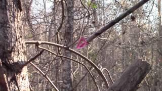 Blood Brothers Outdoors Promo