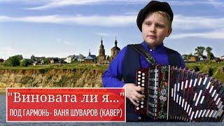 А Вы любите песни под гармонь? "Виновата ли я..."| Кавер от Шуварова Ивана