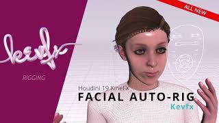 Houdini Kevfx Facial Auto Rig Features | KineFX