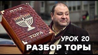 РАЗБОР ТОРЫ. УРОК 20. БРЕЙШИТ.