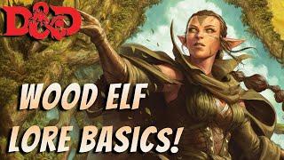 Baldur's gate 3 lore: Wood elf