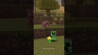 Our morph add-on has a new update! #minecraft
