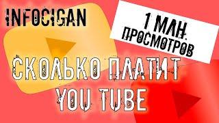 Сколько на самом деле мне платит YOUTUBE за 1 млн просмотров?