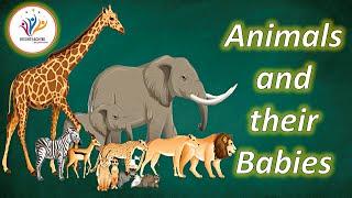 Animals and their young ones | Animals babies | Animals and their babies | Brighteaching