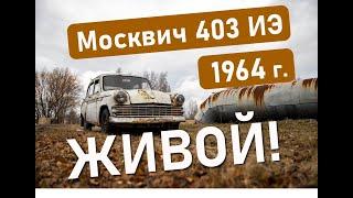 Москвич 403 экспортный - живой